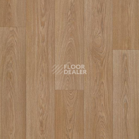 Линолеум Forbo Eternal Wood 13942 classic timber фото 1 | FLOORDEALER